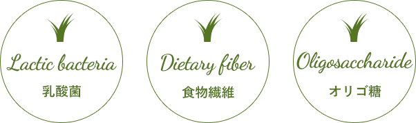 乳酸菌、食物繊維、オリゴ糖